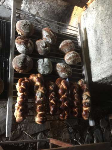 dd8b8d33-6494-4221-8b86-b3aa857dfc95